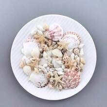 1 Box Approx. 150/10g Ocean Shells & Conch - For DIY Jewelry Making, Fish Tank, Bathroom Home Decor, Party Candles, Wedding Decoration, Handmade Crafts, (Due To Lighting, Display Etc., The Actual Product May Have Slight Color Difference"; Natural Shells & Conch Are Marine Organisms, Not Perfect, Size, Color, Pattern Depth Vary (Product Box Is 150g, Small Bag Is 10g, Please Read Title Carefully Before Purchasing, Product Is Fragile, May Be Slightly Damaged During Transportation, Please Read Title Carefully Before Purchasing, Product Shipped Randomly) - Multicolor - View 3