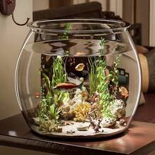 Round Transparent Fish Bowl, Shatterproof Small Desktop Hydroponic Goldfish Tank, Small Landscape Goldfish Bowl, Suitable For Office And Living Room, Creative Shatterproof Aquarium For Home, Random Style Delivery - Clear - View 9
