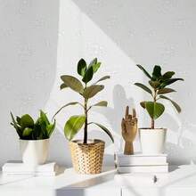 1卷加厚白色玫瑰印花可剥离自粘壁纸，防潮防水防污耐磨，非常适合卧室、宿舍、酒店、电视背景墙装修装饰。背面带胶，可轻松移除不留残胶，易于安装。尺寸：45厘米*500/300/100厘米 - 白色 - 查看 6