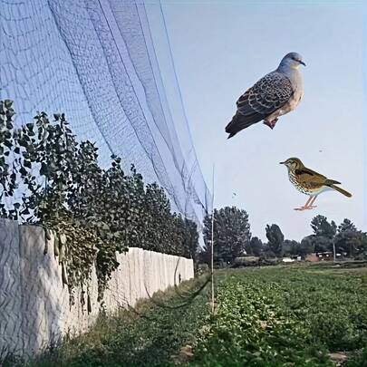 1pc 18mm Mesh Plastic Monofilament Bird Netting, Home Garden Netting, Crop Protection, Pond Fishing Net, Fruit Tree & Flower Garden Netting, Pest Control Tool