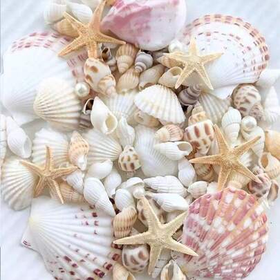 Około 150 szt./10 g naturalnych muszelek w różnych kolorach – do samodzielnego wyrobu biżuterii, do akwarium, łazienki i wystroju domu, na świece imprezowe, dekoracje ślubne, do rękodzieła. Naturalne muszle z oceanu mogą mieć drobne niedoskonałości, różnice w kolorze i linie wzrostu, które są częścią ich naturalnych cech.