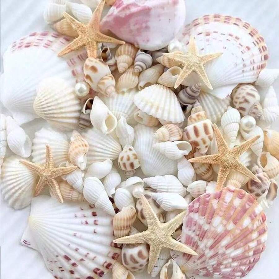 1 Box Approx. 150/10g Ocean Shells & Conch - For DIY Jewelry Making, Fish Tank, Bathroom Home Decor, Party Candles, Wedding Decoration, Handmade Crafts, (Due To Lighting, Display Etc., The Actual Product May Have Slight Color Difference"; Natural Shells & Conch Are Marine Organisms, Not Perfect, Size, Color, Pattern Depth Vary (Product Box Is 150g, Small Bag Is 10g, Please Read Title Carefully Before Purchasing, Product Is Fragile, May Be Slightly Damaged During Transportation, Please Read Title Carefully Before Purchasing, Product Shipped Randomly)