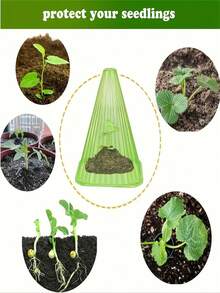 植物园植物罩套装，10件套植物罩，可重复使用的植物罩，保护植物免受鸟类、霜冻、蜗牛等侵害 - B - 查看 5