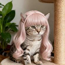 Adjustable Cat Wig, Pink Curly/Wavy Hair With Bangs - Easy-To-Wear Pet Costume Accessory, Suitable For Photography, Theme Parties, Daily Styling - Durable Cat Hair - Baby Pink - View 7