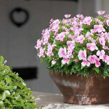 1/80 Ramo de 40 cm de flores artificiales de Impaciencia, flores de seda, adecuadas para el hogar, oficina, boda, patio exterior, césped, decoración del jardín, ramo de novia, decoración de boda del Día de San Valentín, materiales para hacer coronas DIY - Rosa - Ver 6