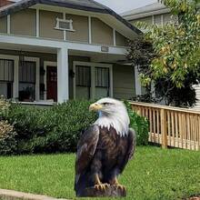Modern Eagle Acrylic Garden Decor - Outdoor Lawn Art Decoration, Vinyl Material, Freestanding, Easter Themed Floral Decor For Yard, No Electricity Or Battery Required