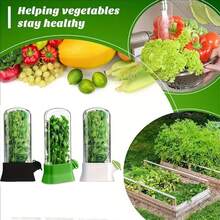 1 pieza Caja de conservación de vegetales, Caja de conservación de hierbas, Recipiente para cilantro fresco, Adecuado para almacenar cilantro, menta, perejil, espárragos y otros vegetales, Apto para refrigeración. Mantiene las hierbas envasadas frescas. La menta refrigerada puede mantenerse fresca durante 2-3 semanas. Suministros de cocina para refrigerador. - Multicolor - Ver 3