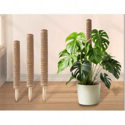 Coconut Palm Sticks, Plant Climbing Trellis Support Poles, Pothos, Monstera, Palm Columns, Gardening Supports