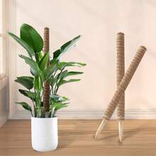 Moss Stick Coconut Coir Pole, Suitable For Climbing Plants - Natural Wool Totem Support Stick, Light Brown, Ideal For Indoor Potted Vines And Garden Care - Brown - View 4