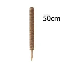 Moss Stick Coconut Coir Pole, Suitable For Climbing Plants - Natural Wool Totem Support Stick, Light Brown, Ideal For Indoor Potted Vines And Garden Care - Brown - View 9