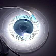 LQHZMYY USB供电LED灯条,COB高亮度,自粘式,5V电压,电池供电,适用于电视背光、家居、派对、婚礼、万圣节、圣诞节装饰 - 室内装饰照明、活动氛围照明、高亮度LED、夜灯、装饰品、客厅、圣诞派对、卧室夜灯 - 彩色 - 查看 24