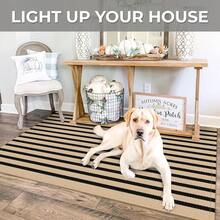 IOHOUZE Striped Area Rug 3'x5' Front Door Rugs Small Washable Area Rug For Front Porch, Spring Summer Welcome Door Mats Outdoor Indoor, Doormat For Entryway Porch Entrance, Tan/Black,One-Size,TanFFBlackssstripe3x5Rectangular - TanFBlacksstripe3x5Rectangular - View 4