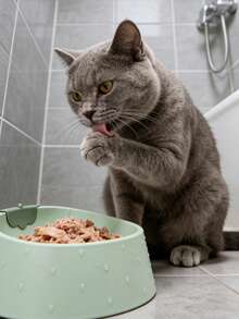 1个草莓宠物狗碗，防滑耐用，适用于小型犬和猫的宠物食品和水碗 - 100ml - 查看 4