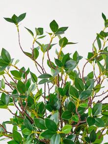 人造榕树枝、仿真树叶喷洒、绿色桉树枝、人造绿色植物茎、假榕树枝，适用于家居、办公室、婚礼、花瓶填充、店铺装饰 - 綠色 - 查看 6