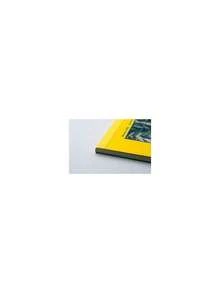 (370-11 300 Series Tracing Pad, 11"x14", 50 Sheets,36979706 - Champán - Ver 5