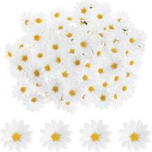 100 piezas de flores artificiales de margarita blanca elegante, adecuadas para decoración de sombreros, decoración de pasteles, manualidades DIY, decoración de habitaciones, decoración de bodas, etc. - Multicolor - Ver 1