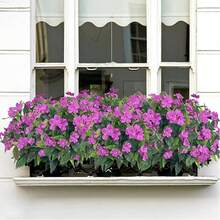 1 pieza - 5 tallos/1 ramo - Gypsophila artificial, flores de seda, plantas falsas para el hogar, jardín exterior, porche, decoración interior/exterior, corona, decoración de boda para jardín - Morado - Ver 8
