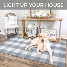 IOHOUZE Buffalo Plaid Checkered Rug 3x5 Ft Front Door Mats, Washable Area Rugs For Front Porch Decor, Spring Summer Welcome Mats Outdoor, Gray White Rug For Farmhouse/Entryway/Home Entrance,One-Size,GreyandWhite3x5Rectangular - GreyandWhite3x5Rectangular - View 5