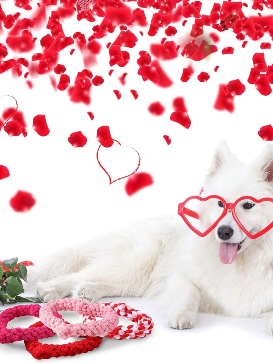 1 Set Heart-Shaped Valentine's Day Pet Toys, Fashionable Bestseller, Dog Toys, Cat Toys, Chew & Tug Resistant, Festive Atmosphere, Must-Have Gift - Multicolor - View 1