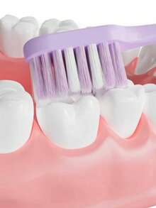 5pcs Ultra-Soft Plush Cloud-Like High Quality Adult Family Couple Sakura Toothbrushes - Multicolor - View 4