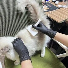 黑色一次性丁腈手套，家用清洁一次性丁腈手套，美发美甲工具，一次性服装