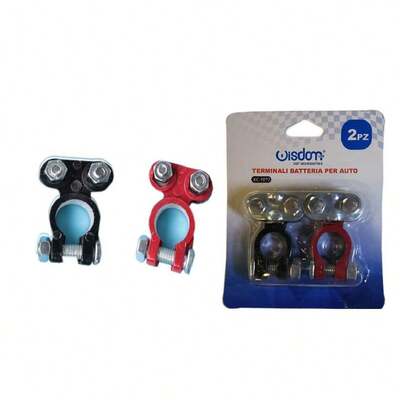 OISE ART STORE Set 2 Pezzi Terminali Terminale Batteria Per Auto Morsetti Con Bullone Xc-1072 -