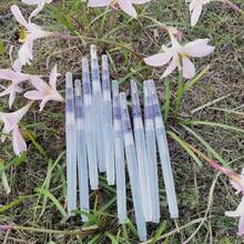 10支/套尼龙毛美术画笔套装，适用于素描和各种艺术创作