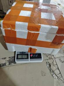 1个加厚陶瓷南瓜碗，54/17盎司家用炖锅，带盖双把手南瓜汤锅，适用于厨房烹饪，可爱烤箱锅，理想的母亲节礼物，季节性烘焙和用餐，适合送礼，家庭烹饪（手工制品可能存在轻微重量差异） - 橘色 - 查看 12