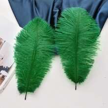 Ballinger Large Green Ostrich Feathers - 24pcs 12-14inch Long Feathers For Vase, Wedding Party Centerpieces Mardi Gras Decorations And Home Decor… - ColorK - 查看 4