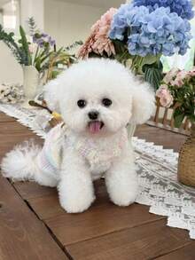 粉彩彩虹小狗连衣裙，毛茸茸的针织毛衣裙，带D形环可系牵引绳，可爱花朵装饰，适合小型、中型犬猫穿着，保暖冬季宠物服装 - 彩色 - 查看 5