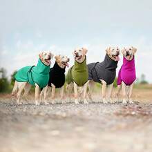 BJAYPET 带帽保暖内衬宠物卫衣，加厚保暖狗狗衣服，纯色，适合小型/中型/大型犬（四脚衣服请参考背长） - 彩色 - 查看 11