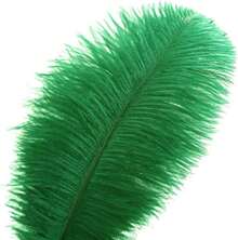 Ballinger Large Green Ostrich Feathers - 24pcs 12-14inch Long Feathers For Vase, Wedding Party Centerpieces Mardi Gras Decorations And Home Decor… - ColorK - 查看 2