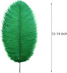 Ballinger Large Green Ostrich Feathers - 24pcs 12-14inch Long Feathers For Vase, Wedding Party Centerpieces Mardi Gras Decorations And Home Decor… - ColorK - 查看 3