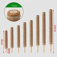 Moss Stick Coconut Coir Pole, Suitable For Climbing Plants - Natural Wool Totem Support Stick, Light Brown, Ideal For Indoor Potted Vines And Garden Care - Brown - View 5