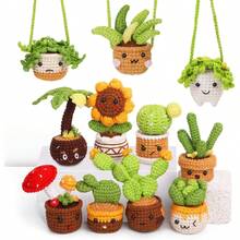 11 Pcs Potted Plants