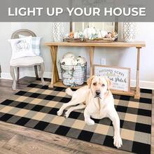 IOHOUZE Buffalo Plaid Checkered Rug 3x5 Ft Front Door Mats, Washable Area Rugs For Front Porch, Welcome Mats Indoor Outdoor, Entryway Rug For Entryway, Home Entrance, Tan Black,One-Size,TanandBlack3x5Rectangular - TanandBlack3x5Rectangular - View 5