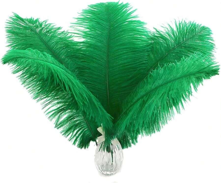 Ballinger Large Green Ostrich Feathers - 24pcs 12-14inch Long Feathers For Vase, Wedding Party Centerpieces Mardi Gras Decorations And Home Decor… - ColorK - 查看 1