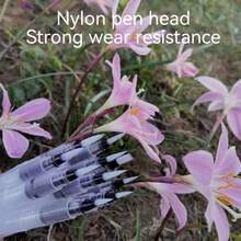 10支/套尼龙毛美术画笔套装，适用于素描和各种艺术创作