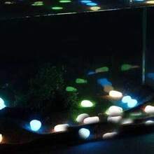 Colorful Glow In The Dark Rocks Luminous Pebbles For Garden Pond Path Lawn Yard Decoration - Multicolor - View 7