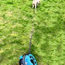 1 buah Tali Penuntun Hewan Peliharaan Otomatis yang Dapat Ditarik Sepanjang 3 Meter/5m dengan Cetakan Kaki yang Lucu, Cocok untuk Anjing Kecil dan Sedang untuk Berjalan-jalan dan Aktivitas Luar Ruangan - MultiWarna - View 8
