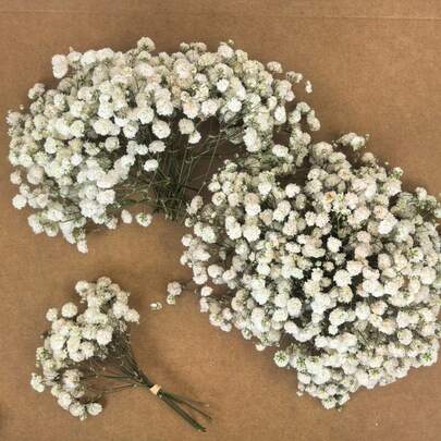 26/51/101/201/301pcs Multi-Color Mini Dried Babys Breath Bouquet - Bohemian Style Pink, Red, Purple, Yellow, White, Turquoise - Durable Wedding Centerpiece, Home Decor, Valentine's Day, Christmas, Birthday - Maintenance-Free, Long-Lasting Vibrant Tabletop Decor, Handwoven Floral Bouquet, Seasonal Decoration, Event Planning Essential