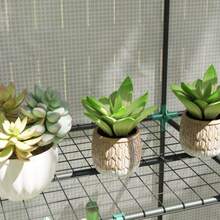 Szklarnia Outsunny z dachem dwuspadowym, podwójnymi drzwiami, półkami, odporna na zimę stalowa szklarnia, ogrzewana szklarnia na balkon lub do ogrodu, szklarnia na pomidory 144 x 48 x 152 cm, szklarnia na pomidory i warzywa, biała - Biały - Zobacz 8