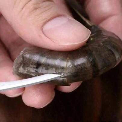 1 pieza Desvenador de camarones de acero inoxidable - Herramienta de preparación de mariscos fácil de limpiar, elimina eficazmente las cáscaras y venas de los camarones, esencial para la cocina del hogar y el campamento al aire libre