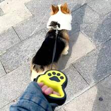 1 buah Tali Penuntun Hewan Peliharaan Otomatis yang Dapat Ditarik Sepanjang 3 Meter/5m dengan Cetakan Kaki yang Lucu, Cocok untuk Anjing Kecil dan Sedang untuk Berjalan-jalan dan Aktivitas Luar Ruangan - MultiWarna - View 7