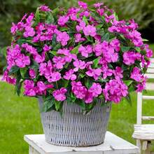 1 pieza - 5 tallos/1 ramo - Gypsophila artificial, flores de seda, plantas falsas para el hogar, jardín exterior, porche, decoración interior/exterior, corona, decoración de boda para jardín - Morado - Ver 1