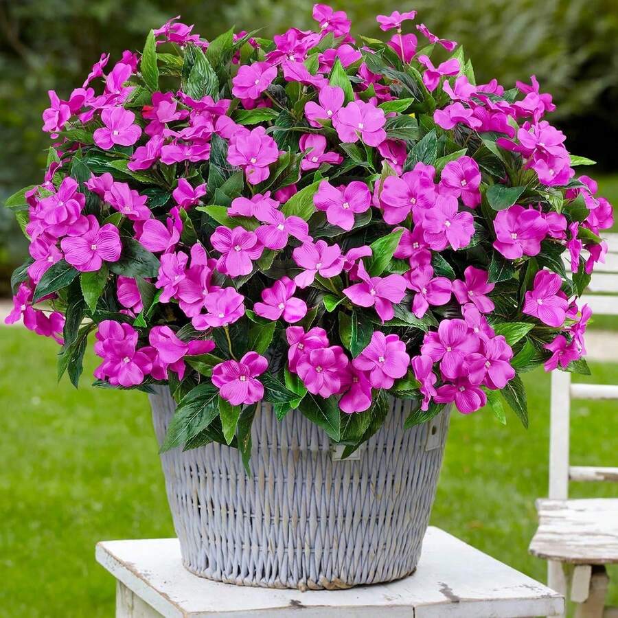 1 pieza - 5 tallos/1 ramo - Gypsophila artificial, flores de seda, plantas falsas para el hogar, jardín exterior, porche, decoración interior/exterior, corona, decoración de boda para jardín - Morado - Ver 1