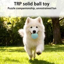 Solid Elastic Training Ball, Suitable For All Dog Breeds, Can Be Used For Indoor Relaxation, Outdoor Training And Interactive Pet Toys