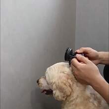 One New Pet Bathing Restraint Set, Adjustable Pet Grooming Leash/Bathing Collar To Prevent Escape. Suitable For Use During Bathing/Trimming/Grooming Of Cats And Dogs To Prevent Them From Escaping. Pet Grooming Supplies. - Multicolor - View 5