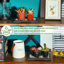 2 Pack Bonsai Humidity Tray Drip Tray Rectangular Plastic Plant Water Catcher Tray Plant Saucers for Indoors and Outdoors Cactus Succulents Bonsai Tree Stone Not Included 7.8 x 5.5 Inch - comoseveenlasfotos - Ver 4