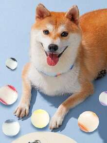 2.5英寸会发出吱吱声的发光狗狗球 - 几何图案，耐用天然橡胶材质，适合所有犬种，无需电池的互动训练玩具，可与宠物磨牙球搭配使用，适合小型至大型犬 - 彩色 - 查看 10